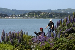 Fundraising Page Image